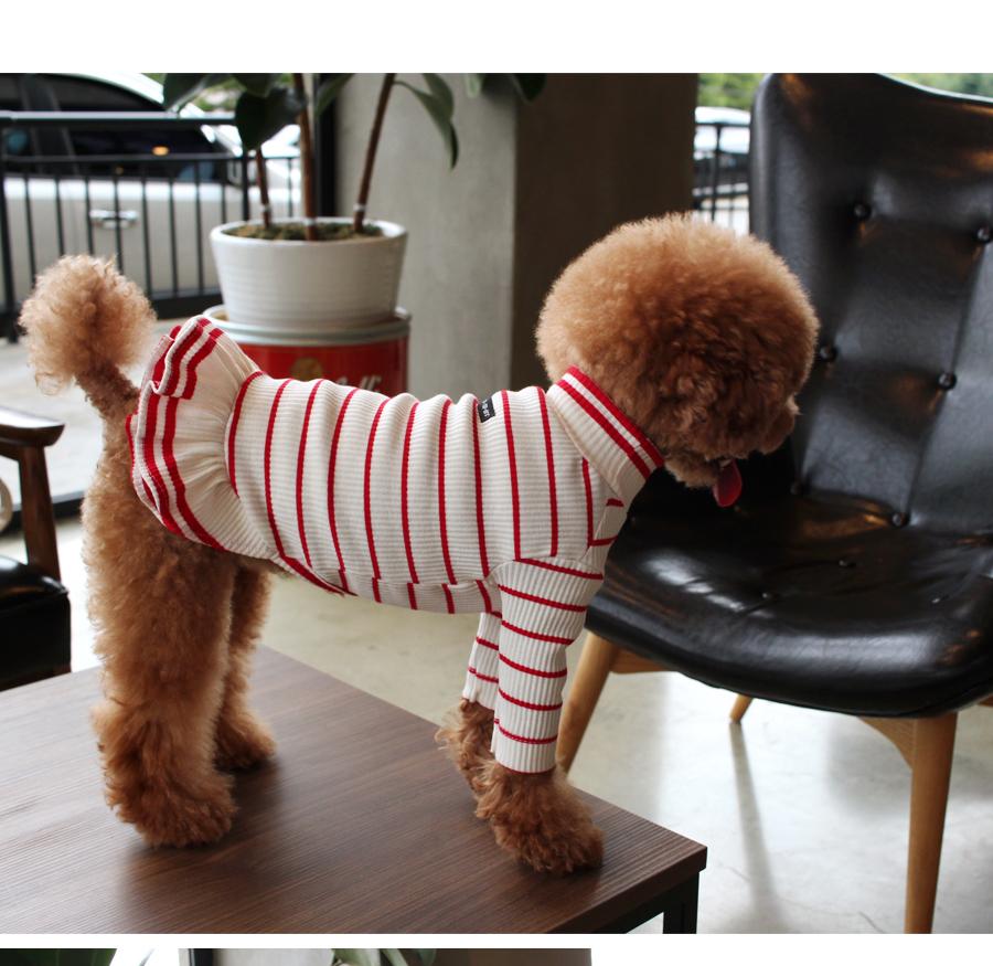 NEW DOG FASHION ST T-shirt Saint T_Red Dog Clothin