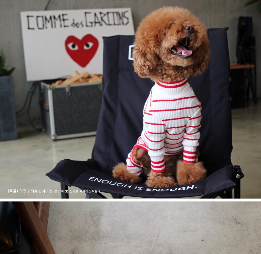 NEW DOG FASHION ST T-shirt Saint T_Red Dog Clothin