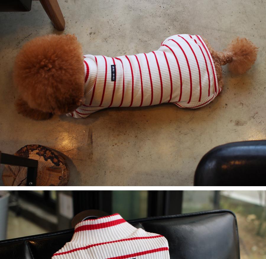 NEW DOG FASHION ST T-shirt Saint T_Red Dog Clothin