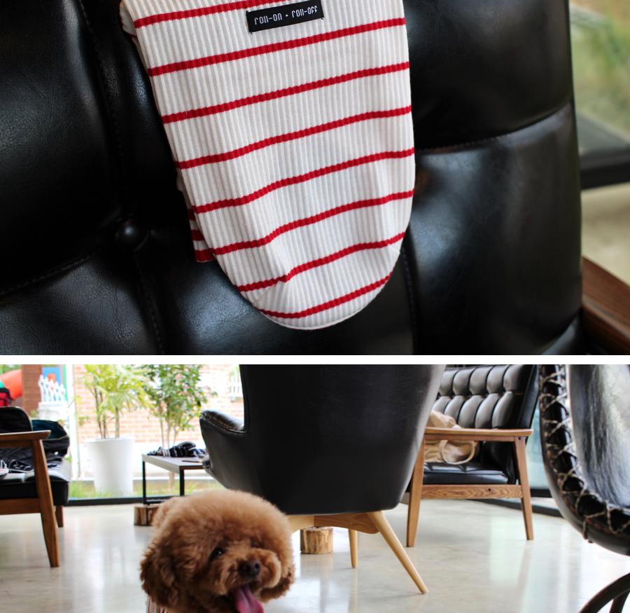 NEW DOG FASHION ST T-shirt Saint T_Red Dog Clothin