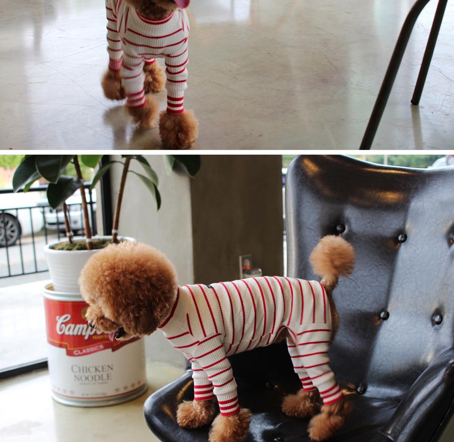 NEW DOG FASHION ST T-shirt Saint T_Red Dog Clothin