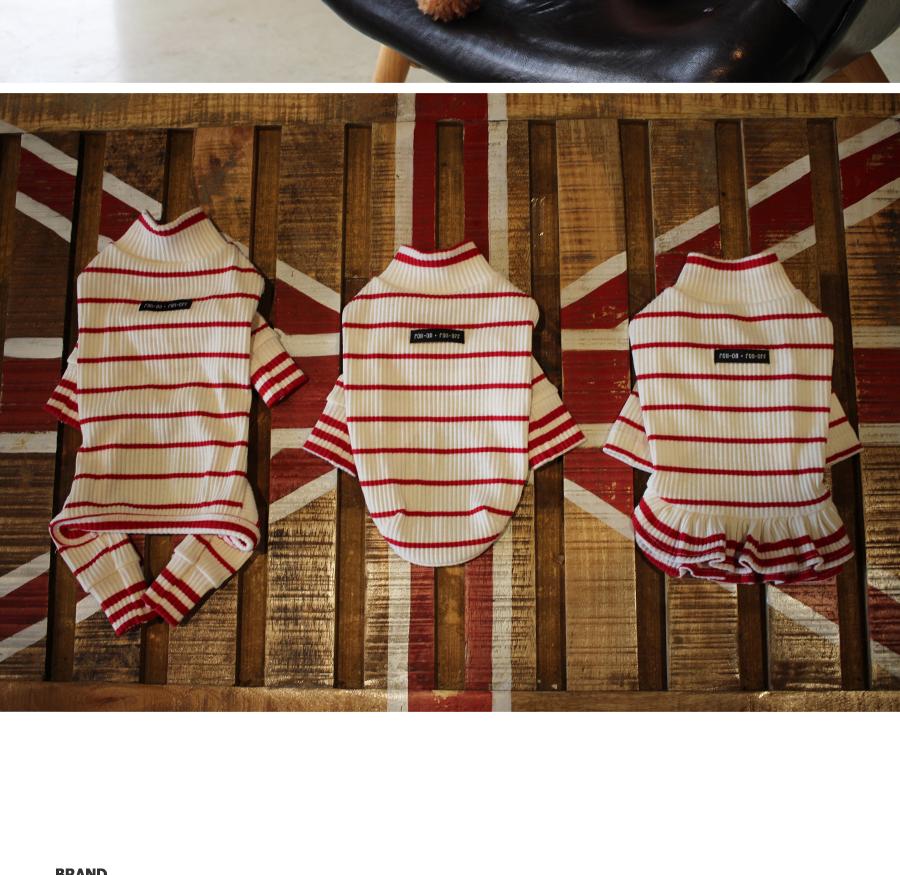 NEW DOG FASHION ST T-shirt Saint T_Red Dog Clothin