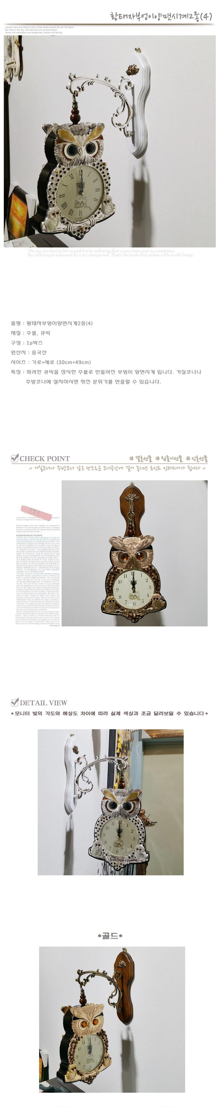 Two-sided watch Ophiopogon owl life wall water wal