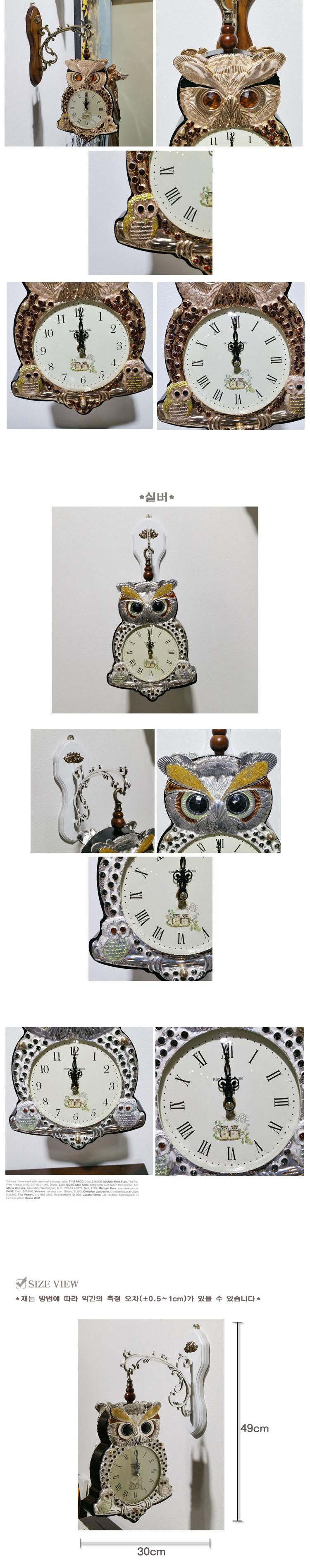 Two-sided watch Ophiopogon owl life wall water wal