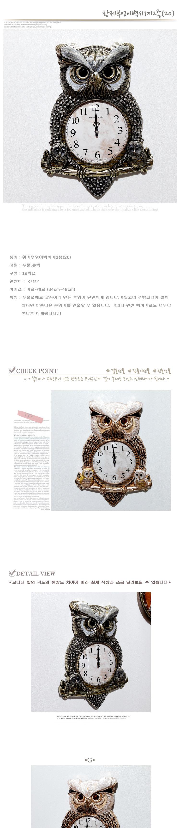 Empty owl wall clock with two hands