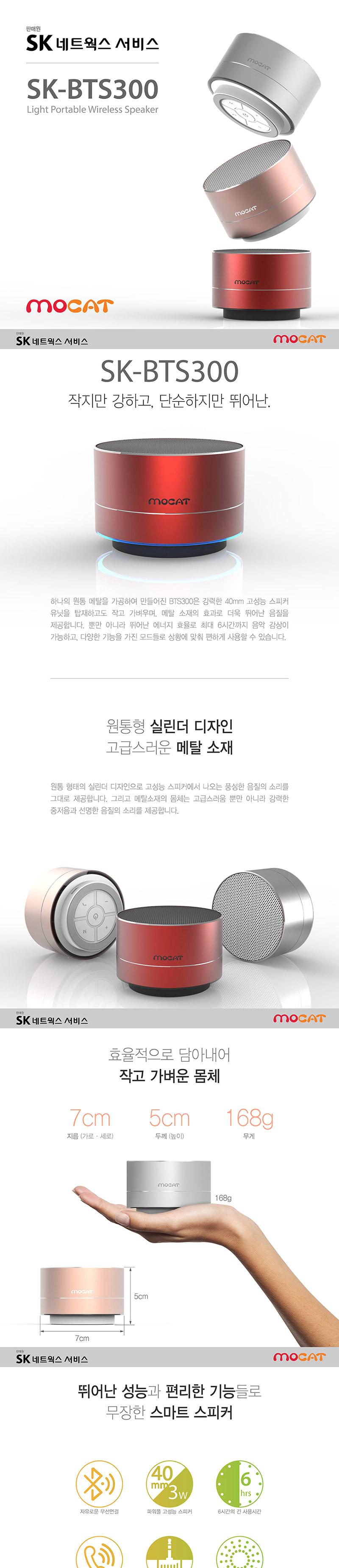 SK Networks Service SK-BTS300 Bluetooth Portable S