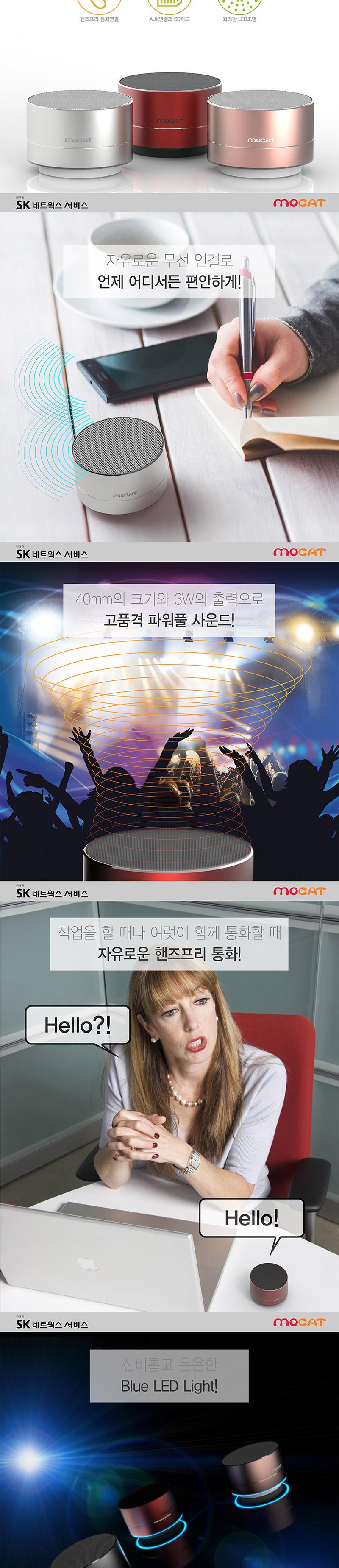 SK Networks Service SK-BTS300 Bluetooth Portable S