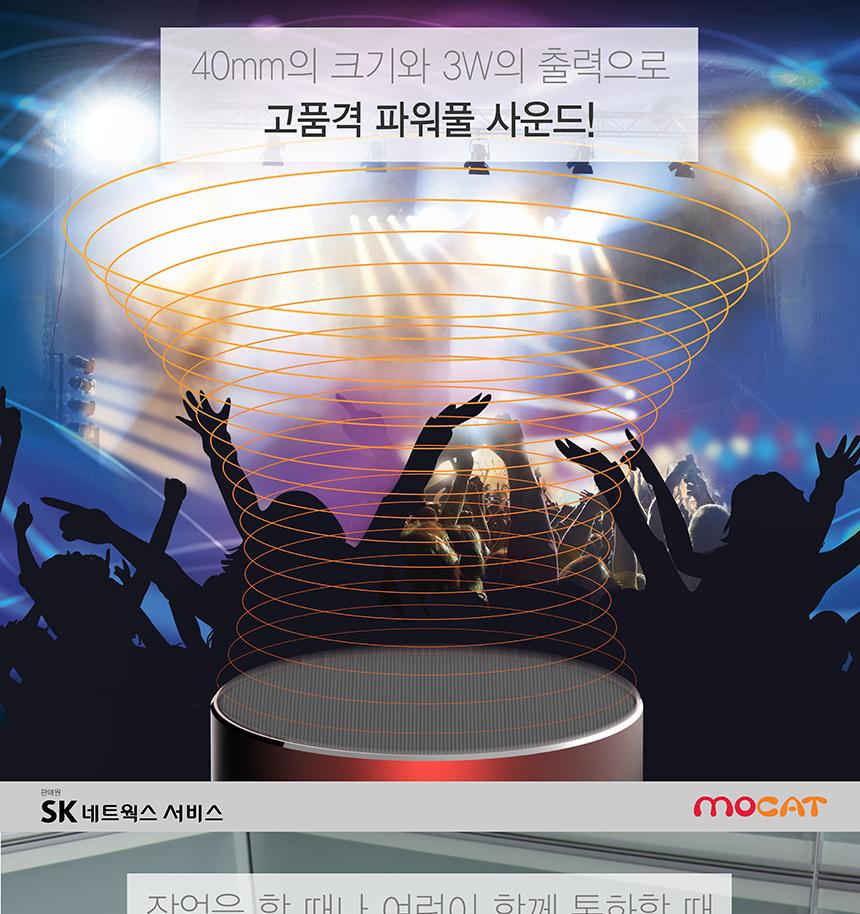 SK Networks Service SK-BTS300 Bluetooth Portable S