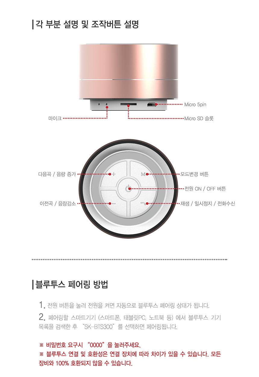 SK Networks Service SK-BTS300 Bluetooth Portable S